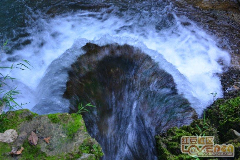 海绵宝宝寻珍宝