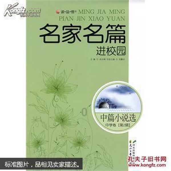 可爱猴子装扮